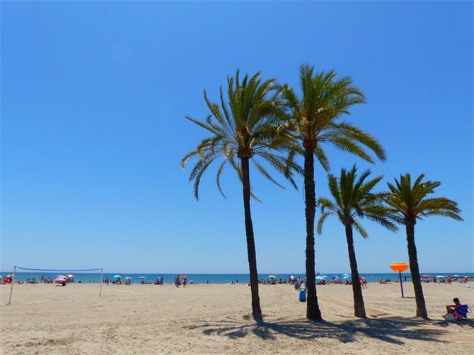 Apartamento En El Centro De Elche Con Terraza La Alborada Eksteriør billede