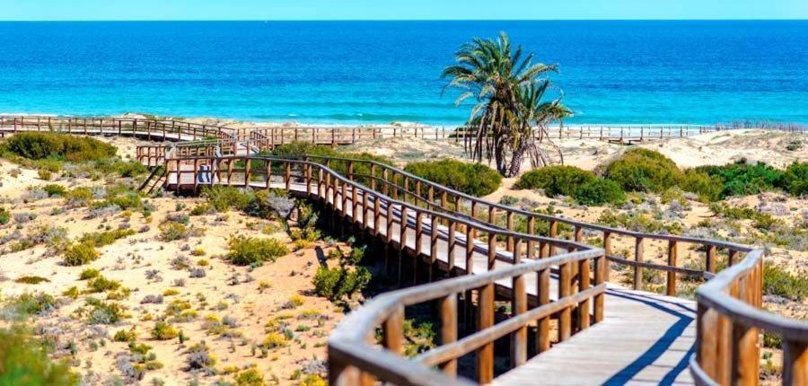 Apartamento En El Centro De Elche Con Terraza La Alborada Eksteriør billede